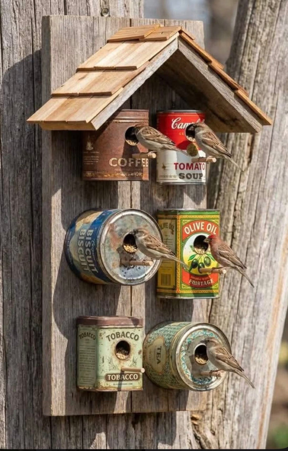 Bird Feeder