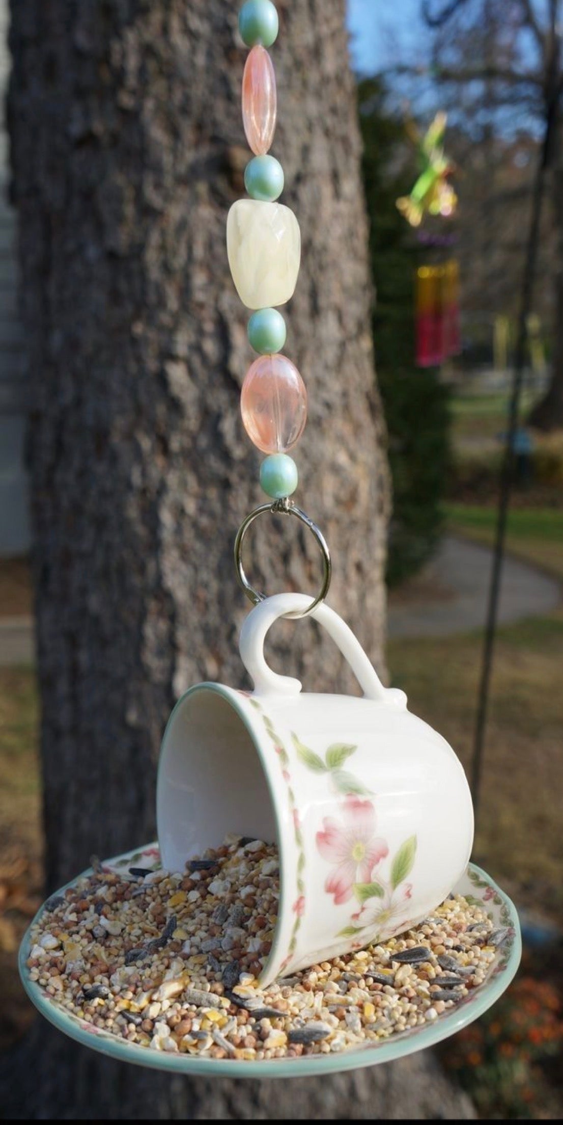 Bird Feeder