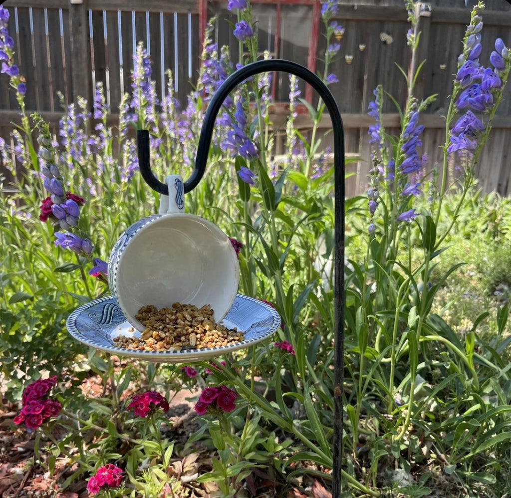 Bird Feeder