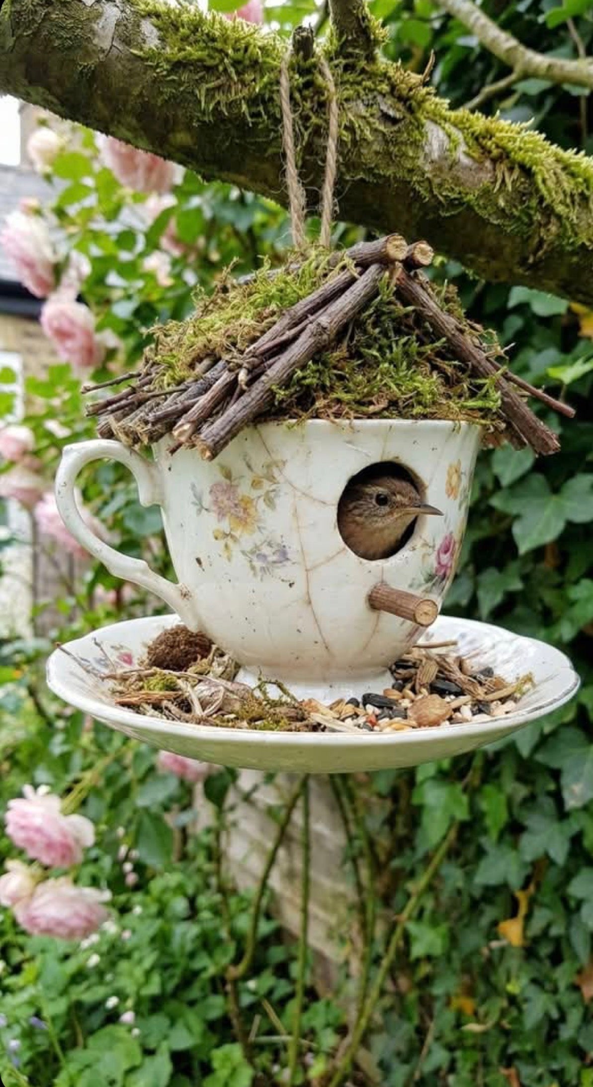 Bird House